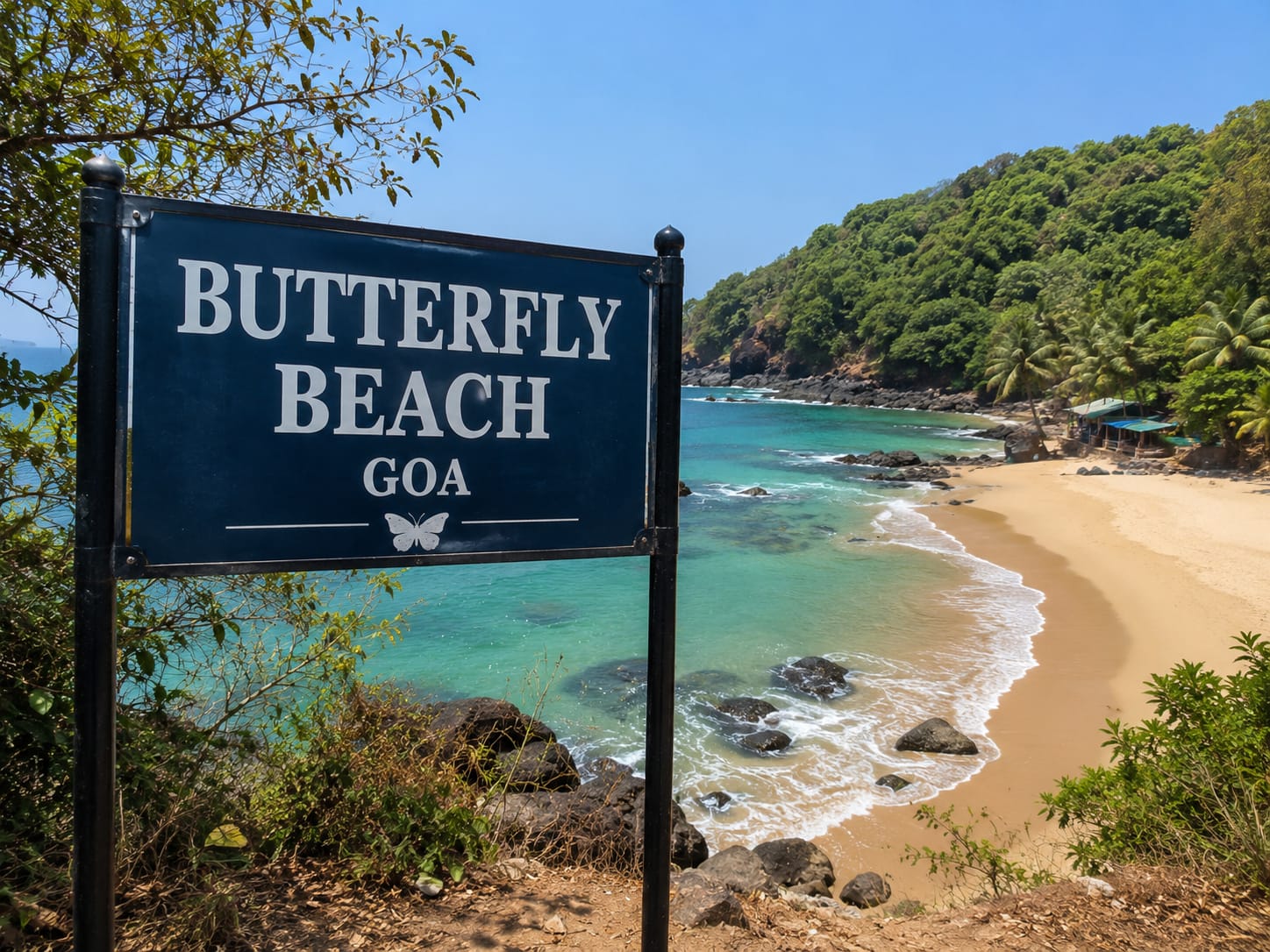 Butterfly Beach